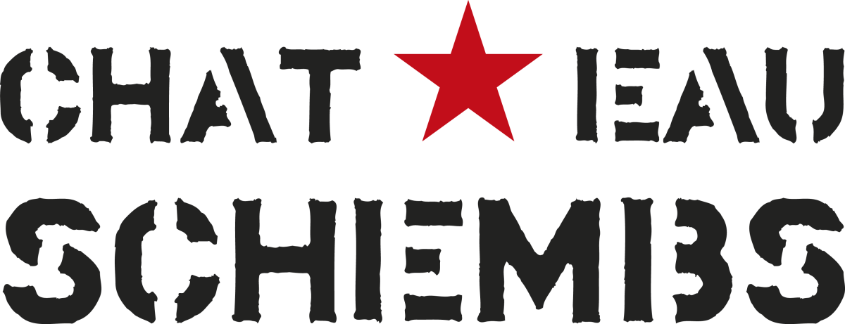 https://musikfestival-rheinhessen.de/index.php?rex_media_type=rex_media_large&rex_media_file=logo_chateau-schembs-stern.png&buster=1744698230